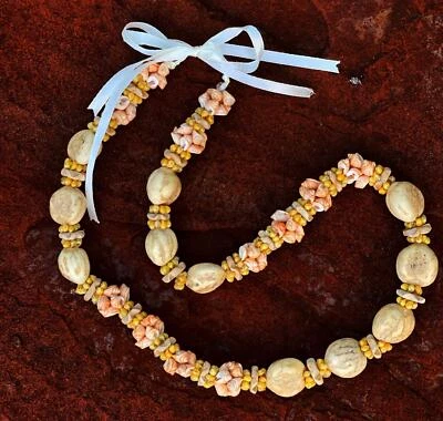 Collar Da Hawaiian Store Lei de nueces Kukui y concha de mongo (elige variedad) Foto 1 de 4