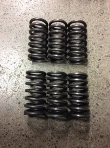 CANAM CAN AM DS450 DS 450 X XXC XMX CLUTCH SPRINGS TRAXTER N 420239625 SET OF 6 - Picture 1 of 1
