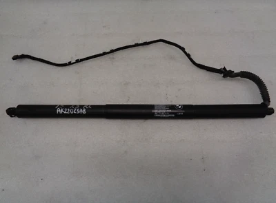 Soporte de elevación de puntal amortiguador puerta trasera izquierda maletero BMW X3 11-17 OEM AK2202378 Foto 1 de 4
