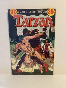 DC Tarzan 217 febbraio 1973 fumetto - Foto 1 di 3