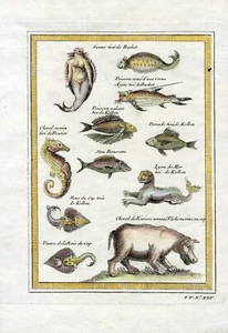 SEA MONSTERS & SEA FISH IN AFRICAN WATERS 1746 VERY RARE PREVOST ENGRAVING - Picture 1 of 9