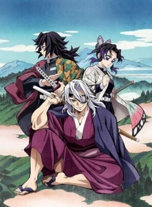 Demon Slayer Kimetsu No Yaiba Hashira Training Arc Vol.2 Limited Edition Blu-ray - Imagen 1 de 1