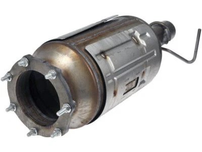 Filtro de partículas diésel Dorman 89567RRHR para Ford F550 Super Duty 2008-2010 Foto 1 de 2