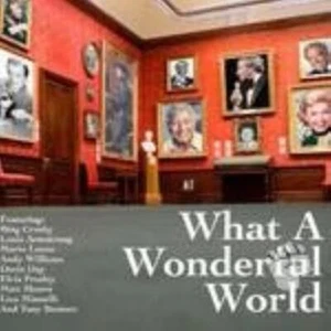 What a Wonderful World Various Artists 2007 CD Top-quality Free UK shipping - Picture 1 of 7
