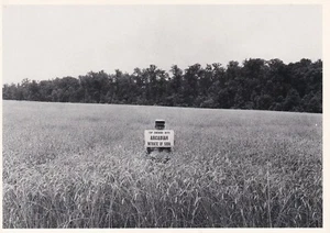 Förderung der arkadischen Nitratmarke Soda 1936 -- NEUE POSTKARTE - Bild 1 von 2