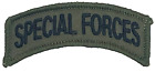 ARMY SPECIAL FORCES SUBDUED OD MILITARY VETERAN IRON ON PATCH EE-201