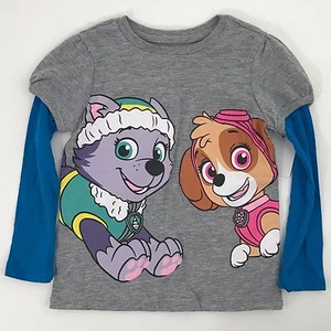 Paw Patrol Heather Gray & Blue Raglan Style Long Sleeve T-shirt Skye & Everest - Picture 1 of 3