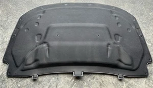 2019-2024 OEM DODGE RAM 1500 FRONT HOOD BONNET INSULATION PANEL. Great Condition - Foto 1 di 8