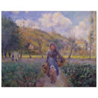 Camille Pissarro, Im Gemüsegarten, Poster