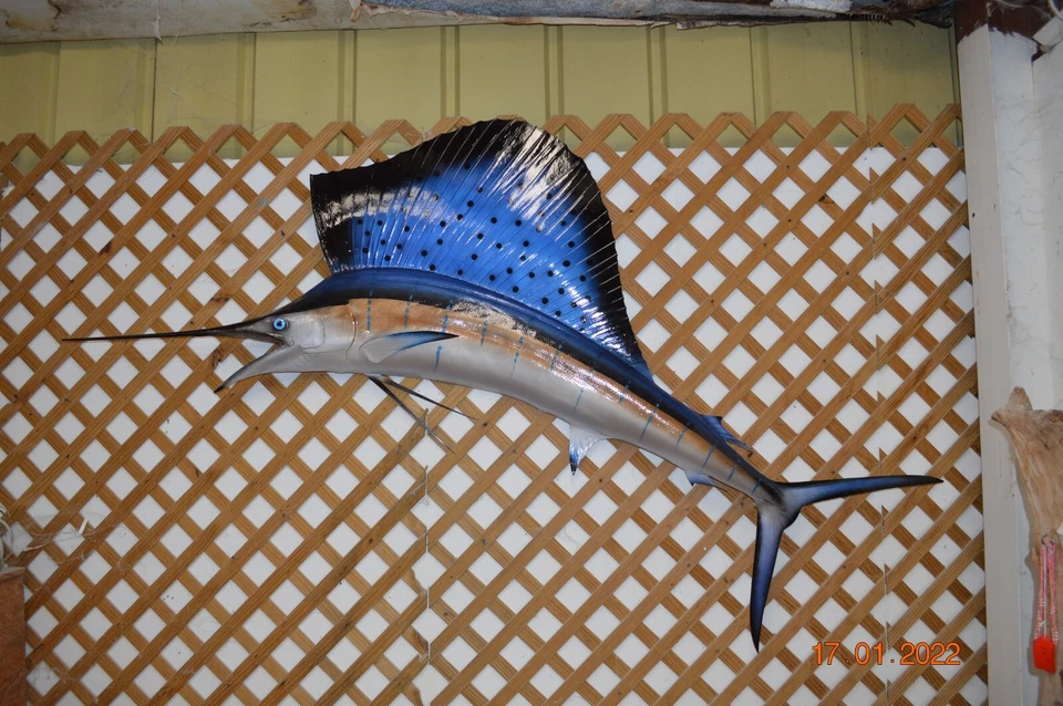 Sailfish Half Mount 93" - Image 1 of 1