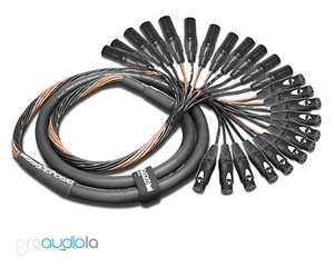 Serpiente estándar Mogami 2933 12 canales | oro neutro XLR-F XLR-M | 15 pies 15 pies - Imagen 1 de 1