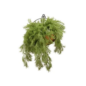 National Tree Company 20 Inch Artificial Pine Hanging Plant w/ Basket (Open Box) - Picture 1 of 4