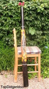 47"\120cm DIDGERIDOO+Bag+Beeswax Mouthpiece *Teak Wood LIZARD Artwork Hand paint - Picture 1 of 9