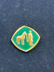 Vintage chinesisches Reisen Tourismus Krieger Pferd goldfarben grün Emaille Pin 70er Jahre - Bild 1 von 3