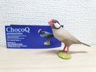 Kaiyodo Takara ChocoQ Pet JAVA SPARROW bird figure choco q animatales