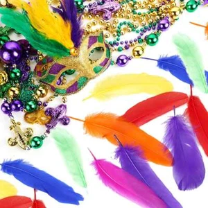 Großhandel 50-100 Stck. hübsche natürliche Gänsefedern 10-15 cm/4-6 Zoll 50 Farben - Bild 1 von 10