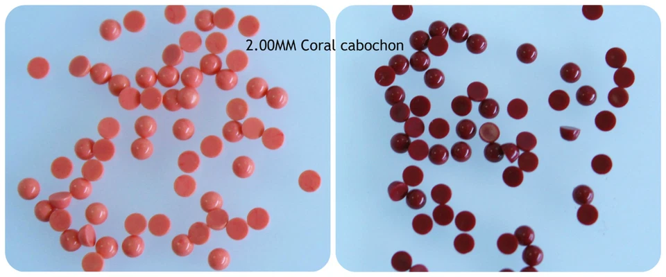 2MM Tiny Loose Round Cabochons reconstitute Coral Flat Back cabs 50 pcs Bulk LOT - Image 1 of 1