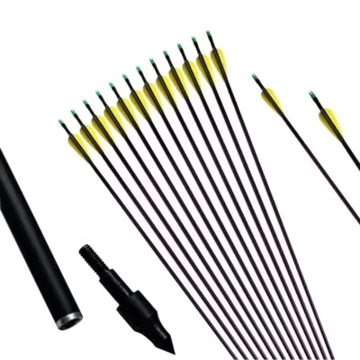 12Pcs Fiberglass Arrow 30" Replaceable Point Train Exercise Nocks Recurve bow  - Image 1 of 4
