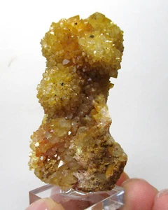 +++ Limonitquarz xx / Kaktusquarz -- Boekenhouthoek, Südafrika +++ golden healer - Picture 1 of 4