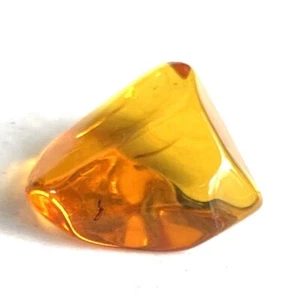 Baltic AMBER PIECE With Insect NATURAL AMBER Inclusion Fossil Insect - Picture 1 of 10