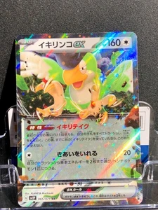 Carta Pokémon Squawkabilly Ex 065/071 jp RR ultra rara Holo foil Mint fresh pack - Foto 1 di 8