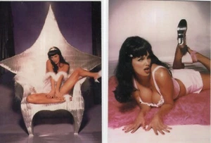 Julie Strain's BETTIE 2000  Promo Card Set by Comic Images - Picture 1 of 1