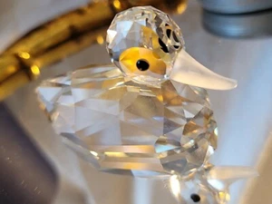 Estatuilla de cristal Swarovski pato mallardo 7647 sin precio base 80 en caja COMPLETA j20 - Imagen 1 de 7