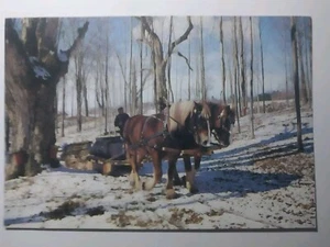 Vintage Town And County Post Card Vermont Unposted Snowy Scene - Picture 1 of 2