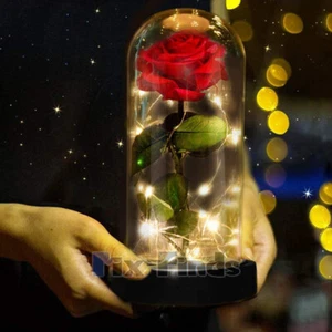 Rosa de seda roja encantada LED para siempre flor rosa eterna en cúpula de vidrio San Valentín - Imagen 1 de 12