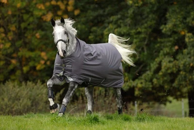Horseware Ireland 130 (6'0) Excal/Plum & Silver Outdoordecke 0g Amigo® Bravo 12 - Bild 1 von 2