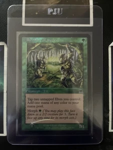 Birchlore Rangers HP Mtg FOIL Onslaught - Picture 1 of 1