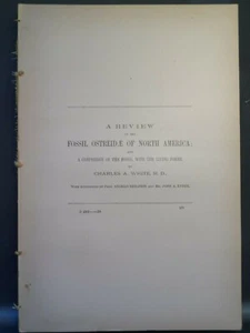 Fossil Ostreidae North America and Comparison of the Fossil 1884 Charles White - Picture 1 of 7