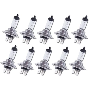 New Limaster Halogen H7 24V 70W PX26d Headlights Standard 4300K Bulb Globe 10pc - Bild 1 von 6