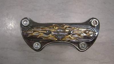 DE COLECCIÓN HARLEY DAVIDSON COLECCIÓN LLAMAS DORADAS ABRAZADERA DE MANILLAR Y ELEVADORES ¡BONITO! Foto 1 de 4