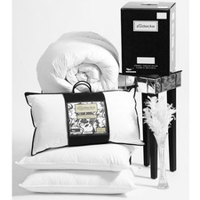 Surrey Down Die Zudecke Canadian White Snow Goose Down Duvet