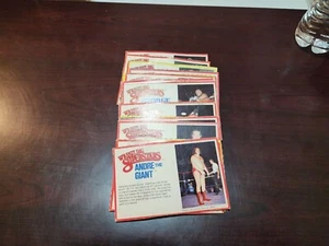 Tarjetas biográficas vintage de superestrellas de lucha libre de LJN WWF, ¡tú eliges, termina tu conjunto! - Imagen 1 de 37