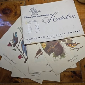 Vintage Audubon 18 Best Loved Bird Paintings Full Color Prints New York City - Picture 1 of 23