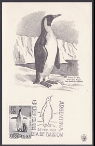 Argentina 1961 Tarjeta Postal Dia Emisión Michel 761 Pinguino - Emperor Penguin - Foto 1 di 1