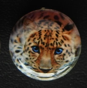 New style 20mm Cheetah Enamel Painting Snap Button - Picture 1 of 1