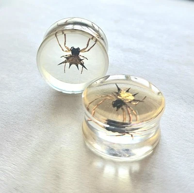 2 piezas tapones para los oídos de araña marrón calibre 3/4" túneles de resina tapones de araña reales rareza Foto 1 de 3
