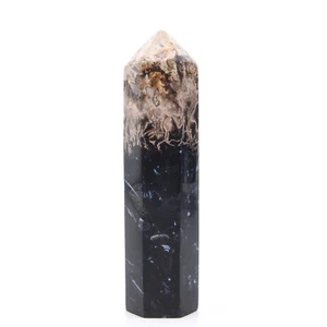 110mm Crystal Gemstone Fossilised Palm Root Generator Point Healing Mineral - Foto 1 di 3