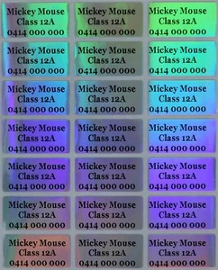 36 Laser Personalised Name Stickers Vinyl Tag / Label, 3.0 X 1.5 CM, Waterproof - Picture 1 of 5