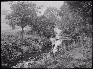 Glass Magic Lantern Slide THE SILVER BURN C1890 PHOTO ISLE OF MAN IOM - Picture 1 of 2