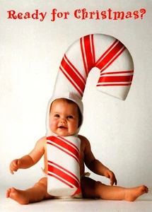 Funny Merry Christmas Ready Or Not Baby Candy Cane Canes Greeting Card - Picture 1 of 3