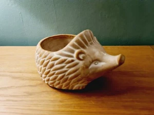 Hedgehog Terracotta Clay Planter Flower Pot Art Deco Save The Hedgehogs - Picture 1 of 12