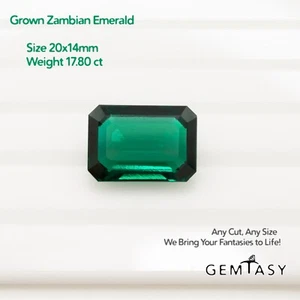 Piedra tallada - Esmeralda Zambia cultivada en laboratorio, faceta octágono 20x14 mm 17,80 quilates - Imagen 1 de 7