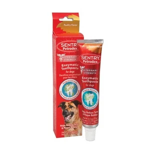 Petrodex Toothpaste for Dogs Poultry Flavor - 6.2 oz - fights bad breath - Picture 1 of 1