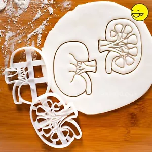 Set De 2 Anatomique Kidney Cookie Emporte Pièce Reins Rénale Organ Biologie - Picture 1 of 10