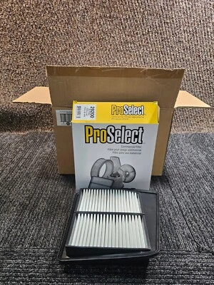 Filtro de aire de celulosa 49200 NAPA ProSelect 29200 (CANTIDAD 6) para Acura TSX 2009-2014 Foto 1 de 4