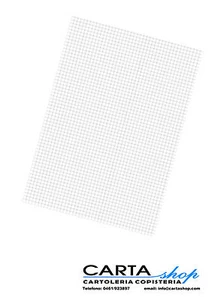 Foglii Cm. 100 X 70 à Carreaux 1 Centrimetro - Lot 50 Pezzi - Afbeelding 1 van 1